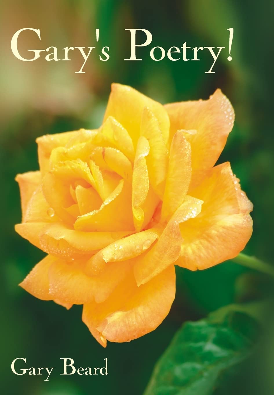 Gary's Poetry!,Used