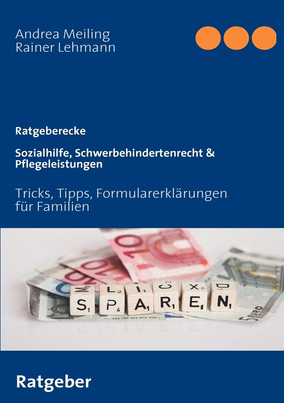 Sozialhilfe, Schwerbehindertenrecht & Pflegeleistungen: Tricks, Tipps, Formularerklrungen fr Familien (German Edition),Used