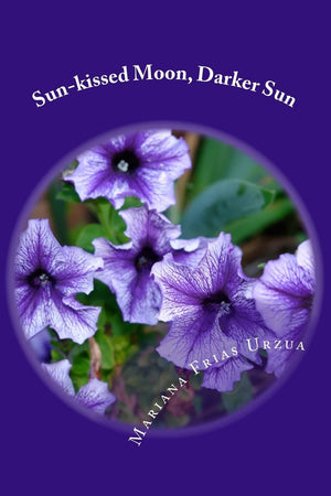 Sunkissed Moon, Darker Sun: A Collection of Short Stories and Poetry,Used