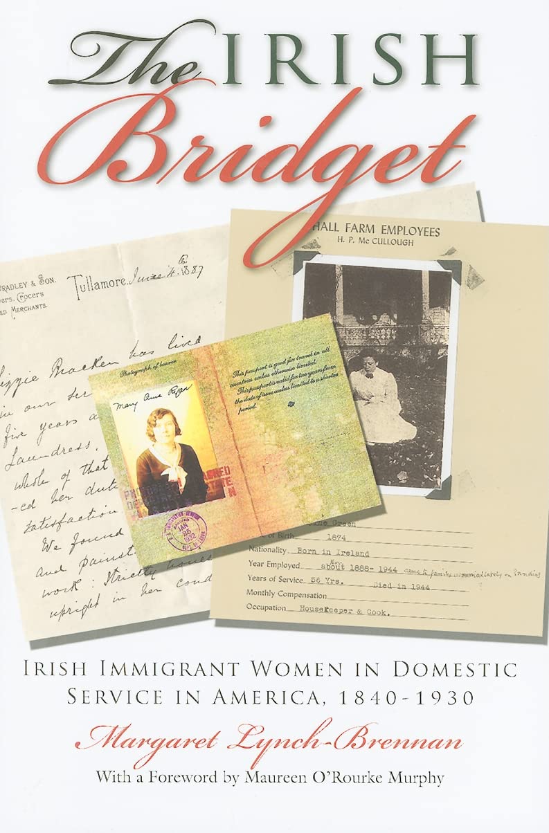 The Irish Bridget: Irish Immigrant Women In Domestic Service In America, 18401930 (Irish Studies)