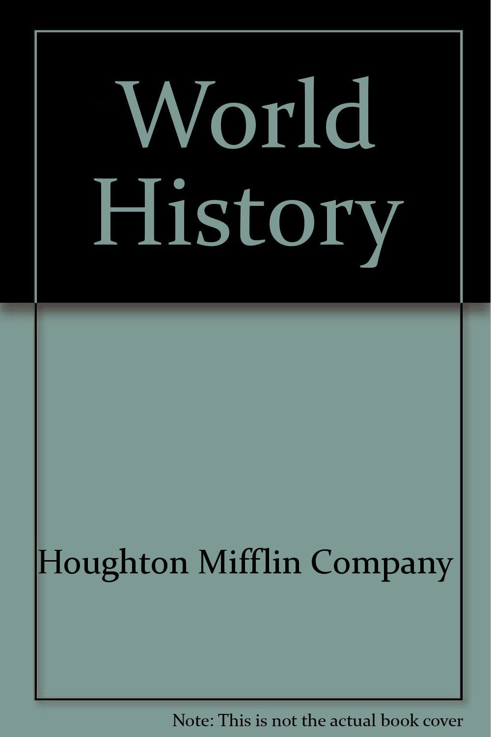 World History, Perspectives on the Past, Independent Practice Worksheets,Used