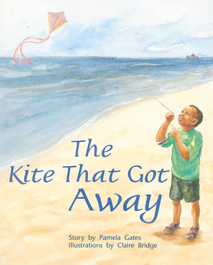Rigby PM Plus: Individual Student Edition Orange (Levels 1516) the Kite That Got Away,Used