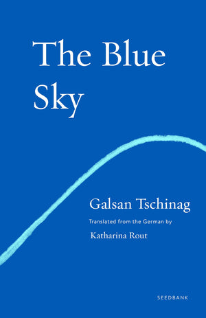 The Blue Sky: A Novel (Seedbank)