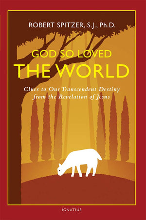 God So Loved The World: Clues To Our Transcendent Destiny From The Revelation Of Jesus (Happiness, Suffering, And Transcendence),Used