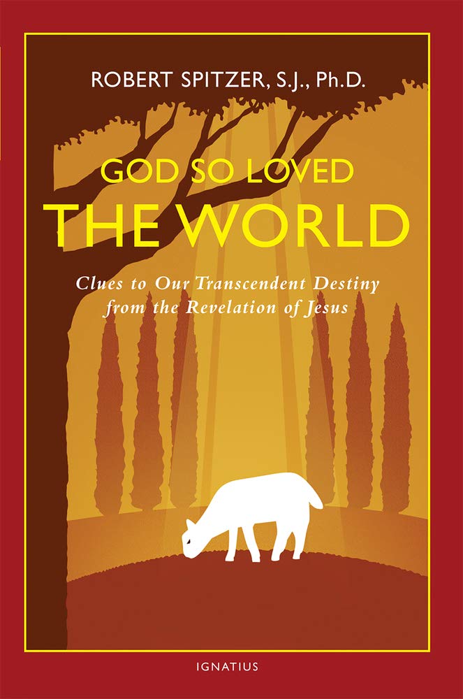 God So Loved The World: Clues To Our Transcendent Destiny From The Revelation Of Jesus (Happiness, Suffering, And Transcendence),Used