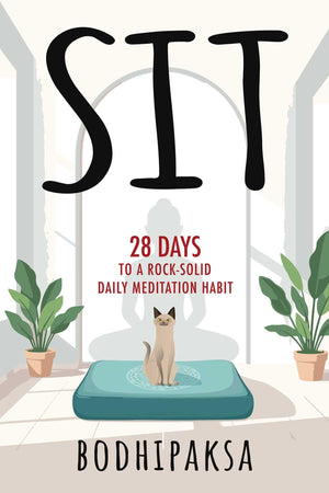 Sit: 28 Days To A RockSolid Daily Meditation Habit