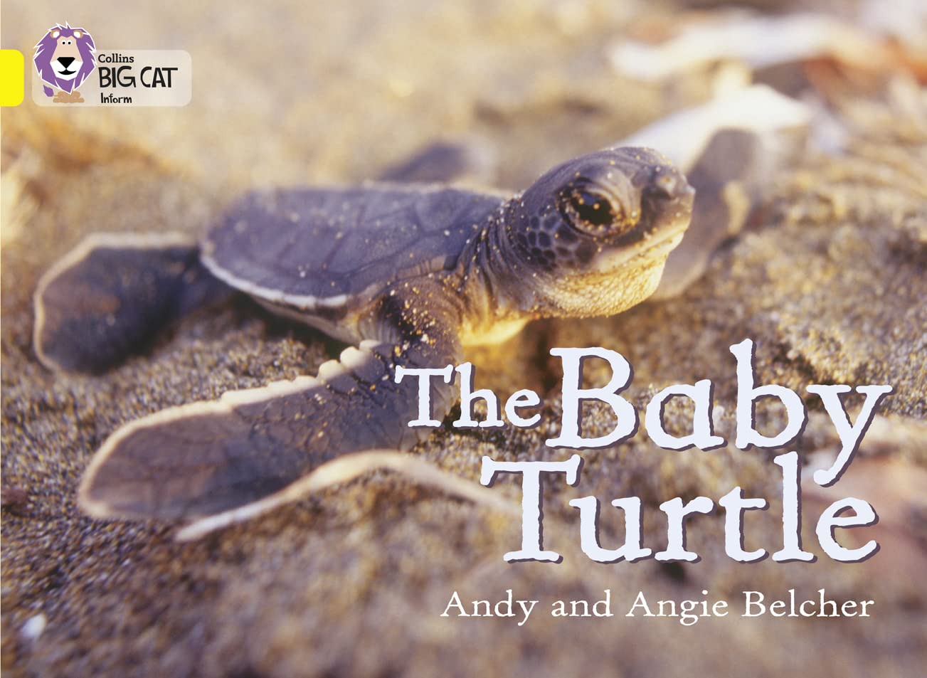 The Baby Turtle: Band 03/Yellow (Collins Big Cat),Used