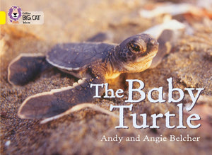 The Baby Turtle: Band 03/Yellow (Collins Big Cat),Used