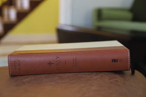 NRSV, Standard Bible with Apocrypha, Hardcover, Tan/Brown: The Bible for Everyone: Trusted, Accurate, Readable,Used