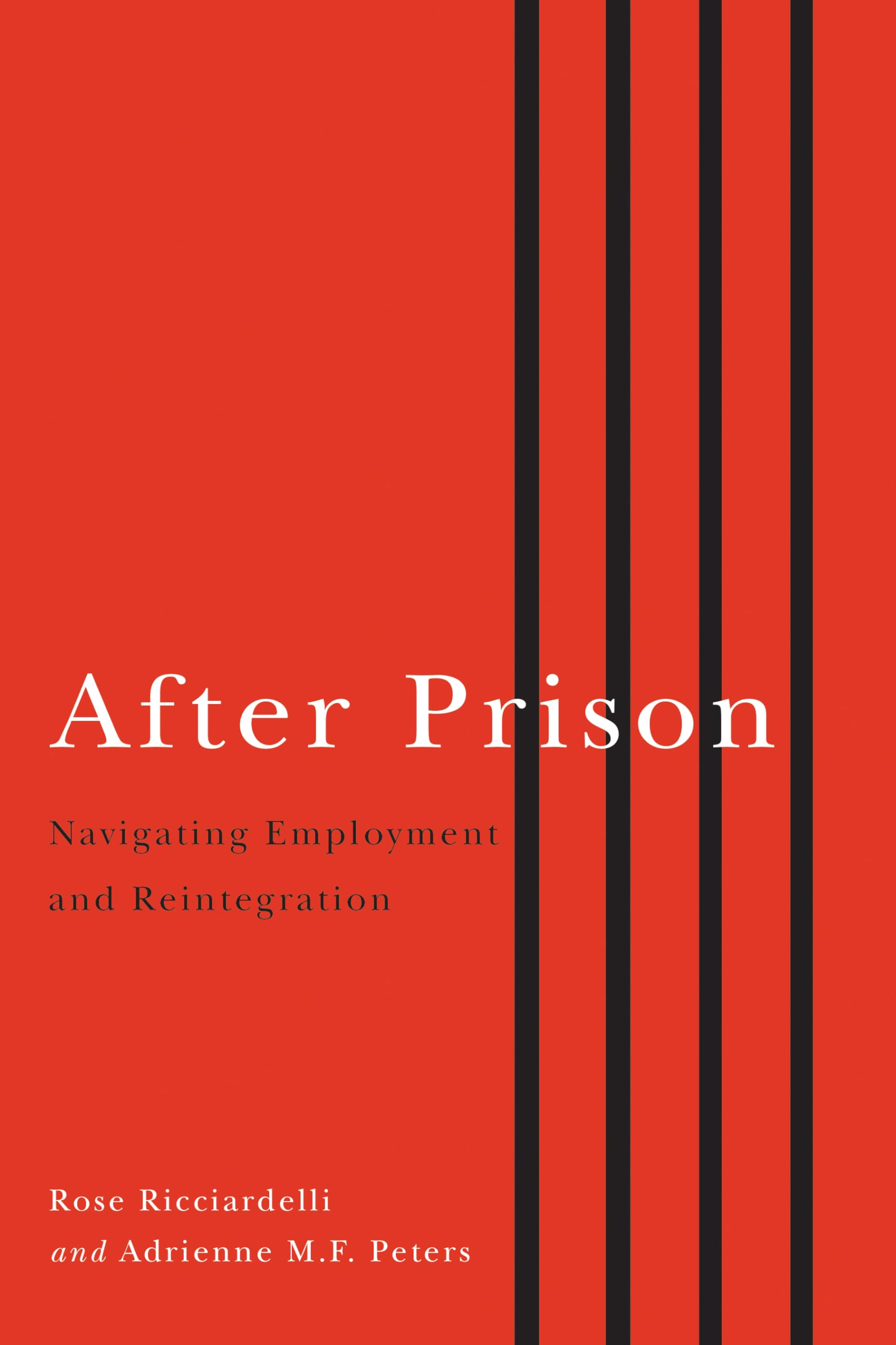 After Prison: Navigating Employment and Reintegration,Used