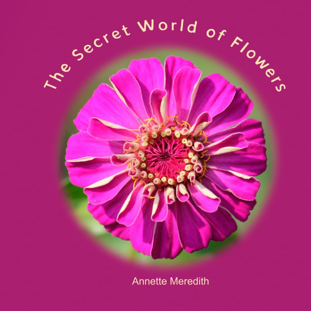 The Secret World of Flowers (Nature on Our Doorstep),Used