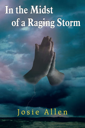 In the Midst of a Raging Storm,Used
