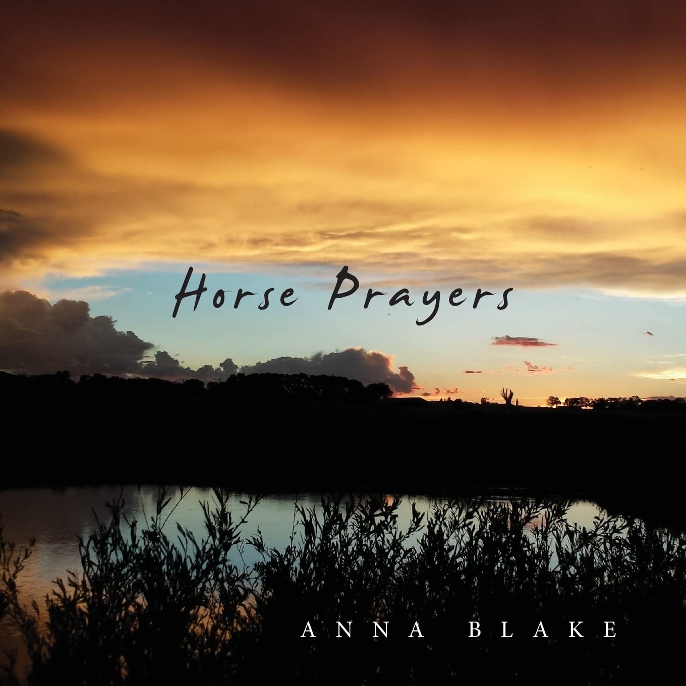 Horse Prayers: Poems from the Prairie,Used