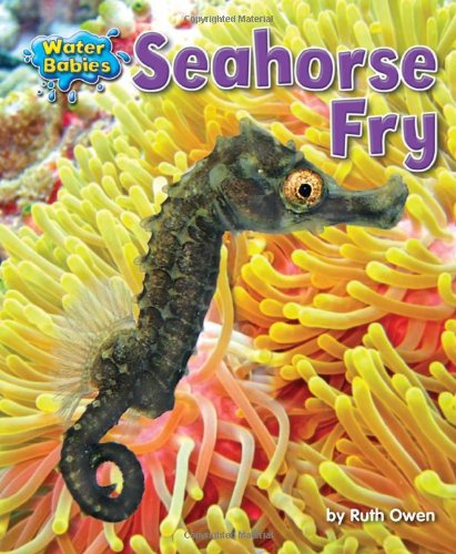 Seahorse Fry (Water Babies),Used