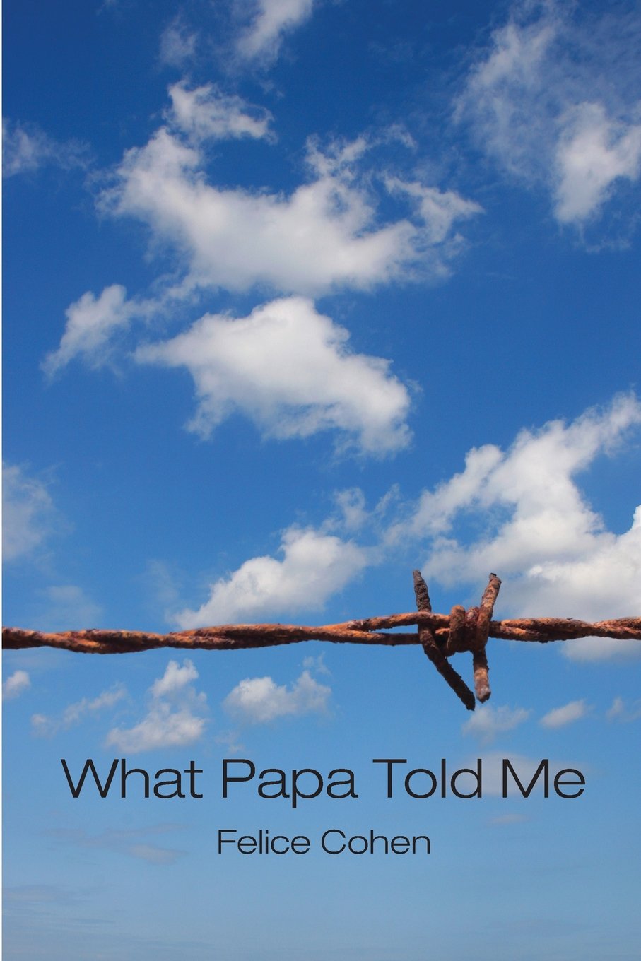 What Papa Told Me,Used