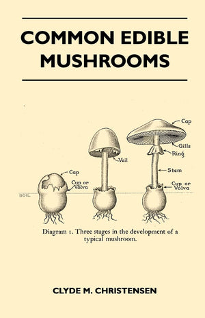 Common Edible Mushrooms,Used