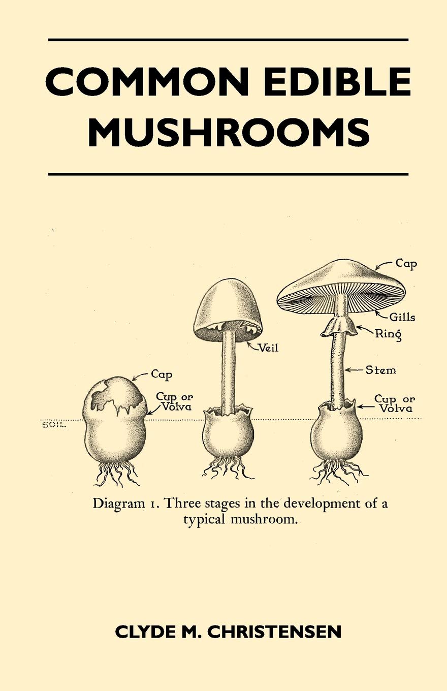 Common Edible Mushrooms,Used