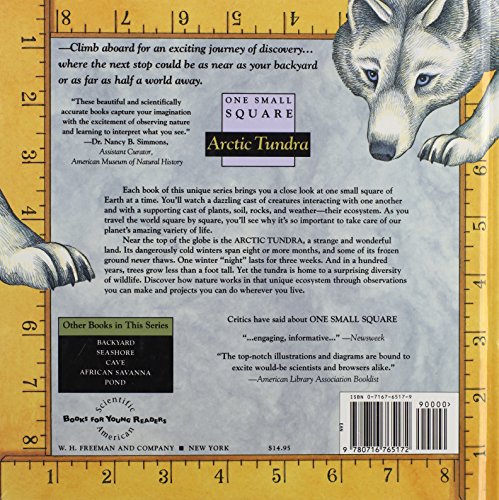 Arctic Tundra (One Small Square),Used