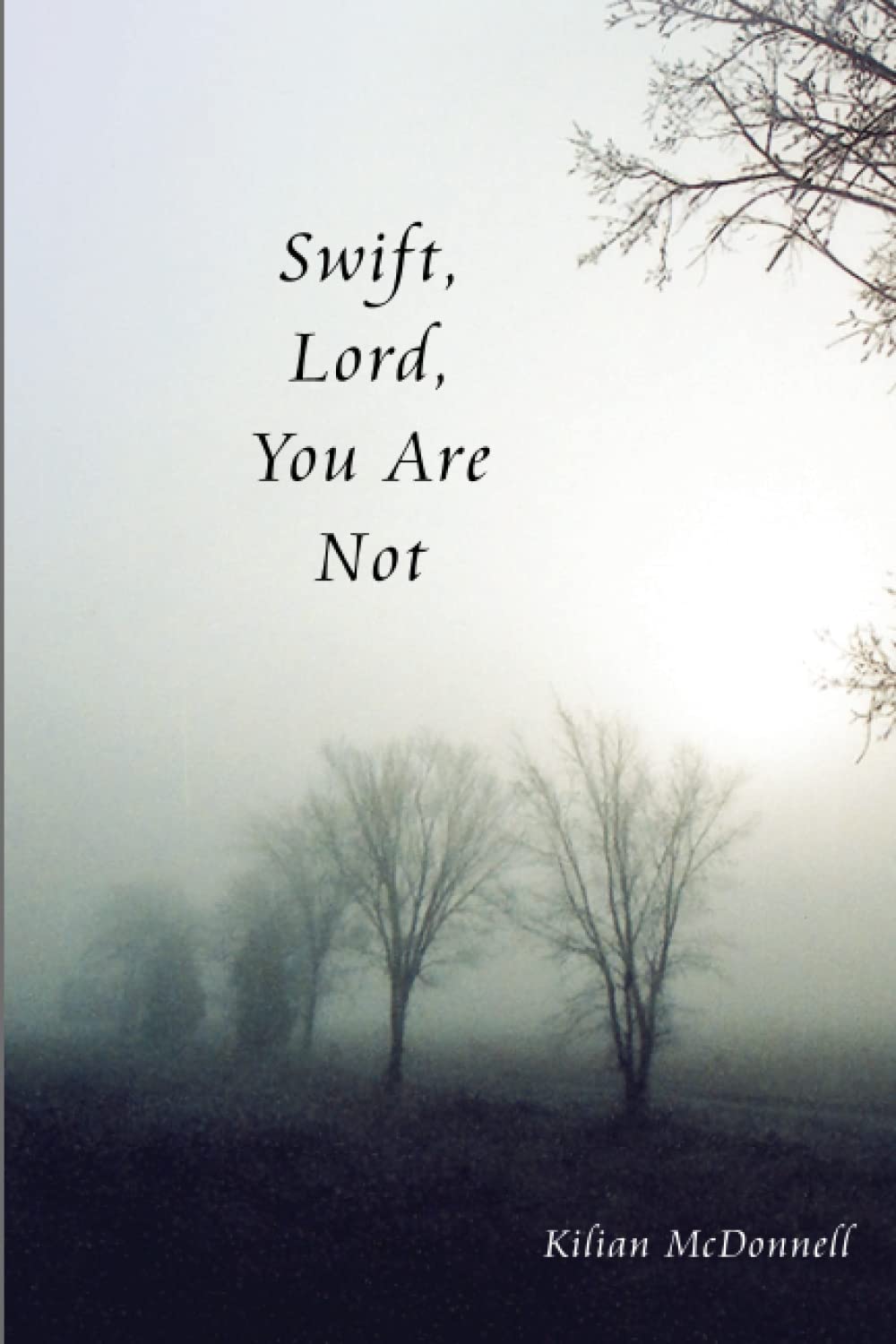 Swift, Lord, You Are Not,Used