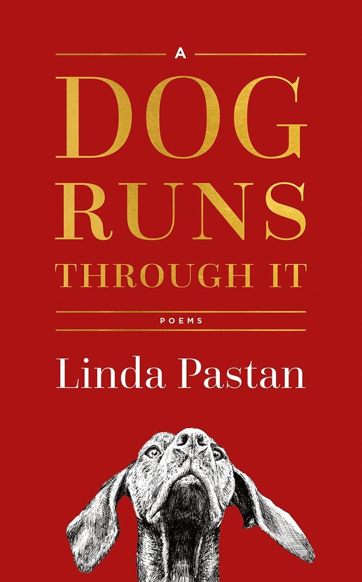 A Dog Runs Through It: Poems,Used