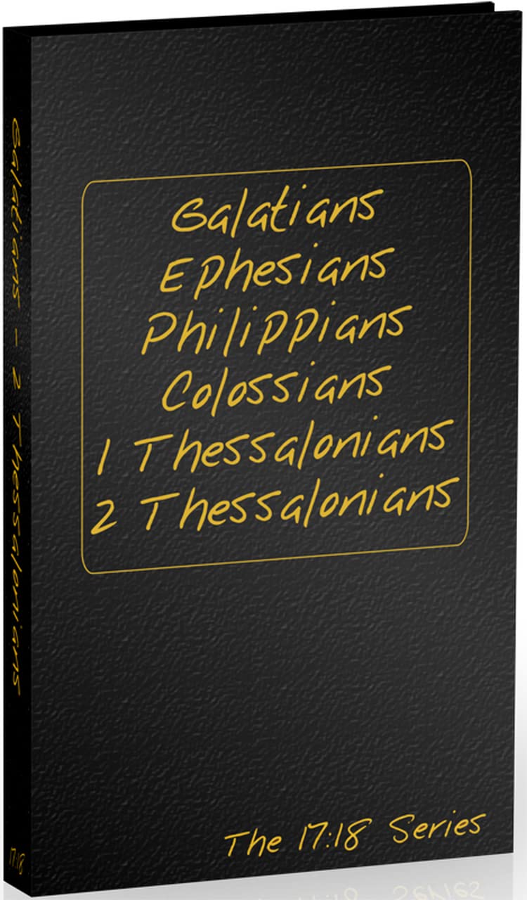 Galatians, Ephesians, Philippians, Colossians, I and 2 Thessalonians Journible  The 17:18 Series (Journibles: the 17:18 Series),Used