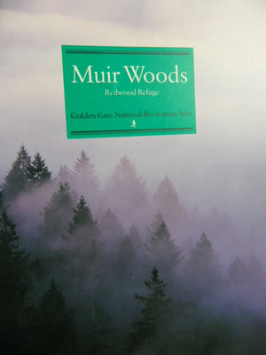 Muir Woods: Redwood Refuge