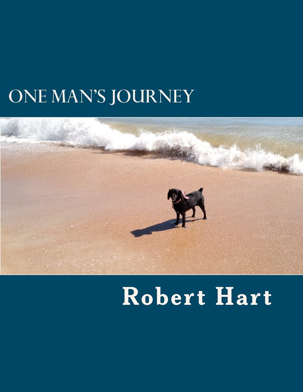 One Man'S Journey,Used