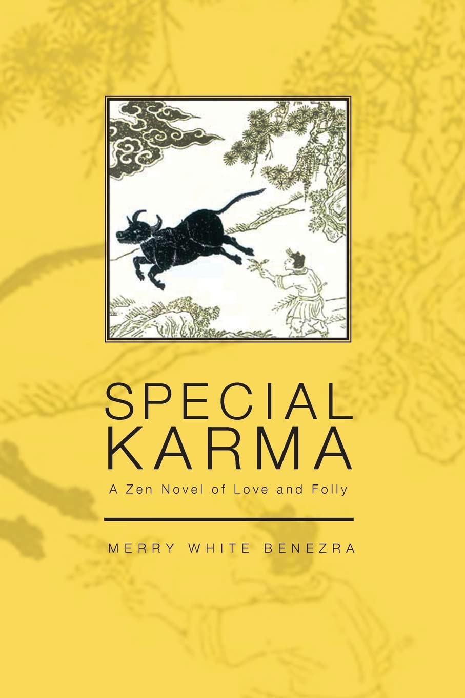 Special Karma: A Zen Novel of Love and Folly,Used