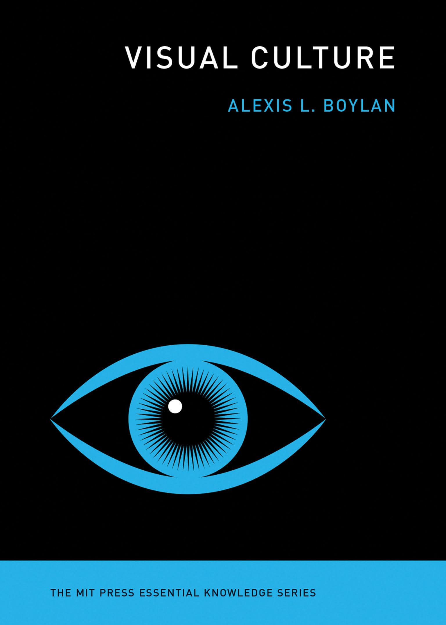 Visual Culture (The MIT Press Essential Knowledge series),Used