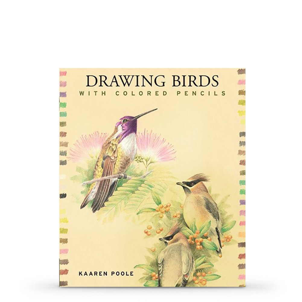 Drawing Birds With Colored Pencils