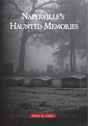 Haunted Naperville,Used