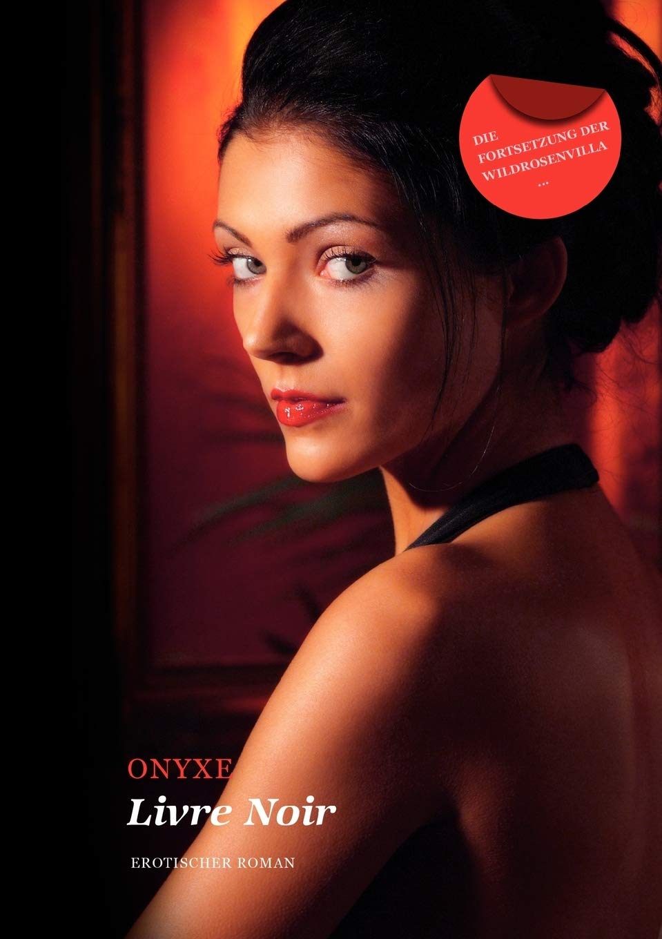 Livre Noir: Erotischer Roman (German Edition),Used
