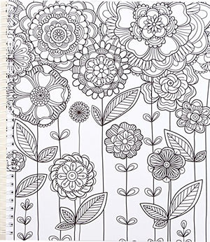 Color & Frame  Nature (Adult Coloring Book)