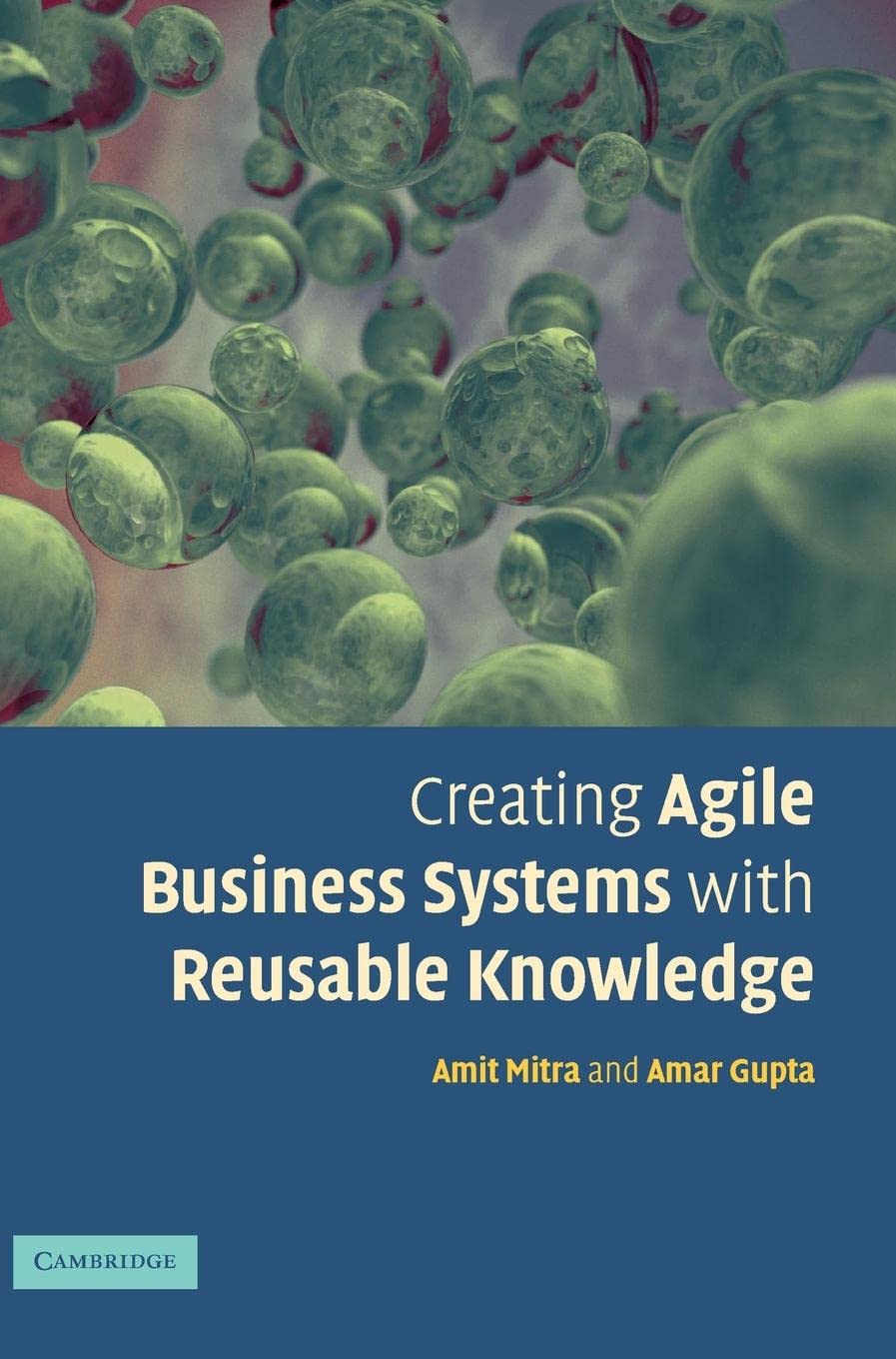 Creating Agile Business Systems with Reusable Knowledge,Used