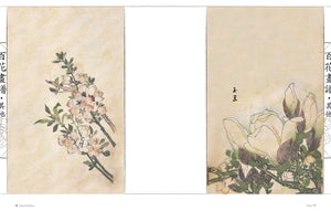 Oriental Flowers: Chinese Brush Paintings,Used