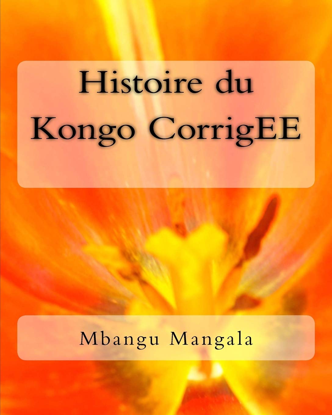 Histoire du Kongo CorrigEE (French Edition),Used