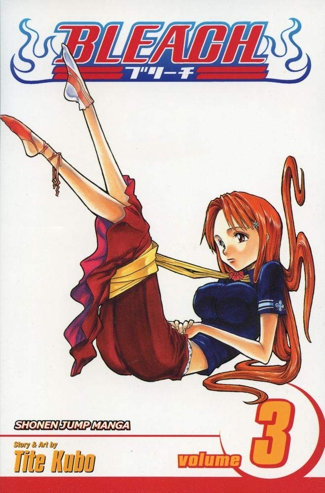 Bleach, Vol. 3,New