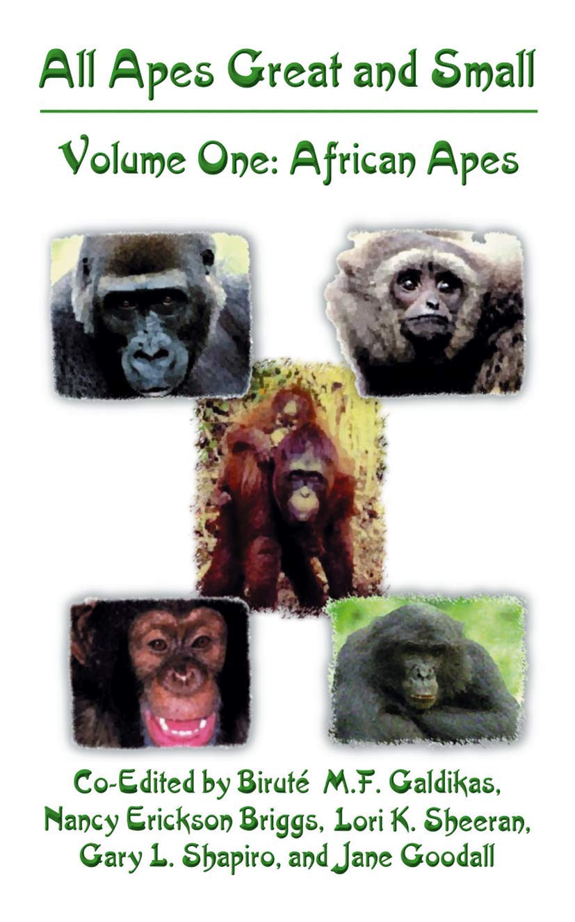 All Apes Great and Small: Volume 1: African Apes (Developments in Primatology: Progress and Prospects),New