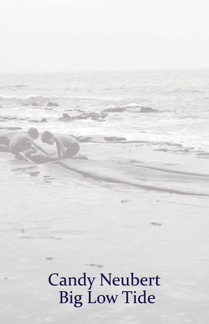 Big Low Tide,Used