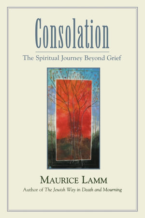 Consolation: The Spiritual Journey Beyond Grief,New