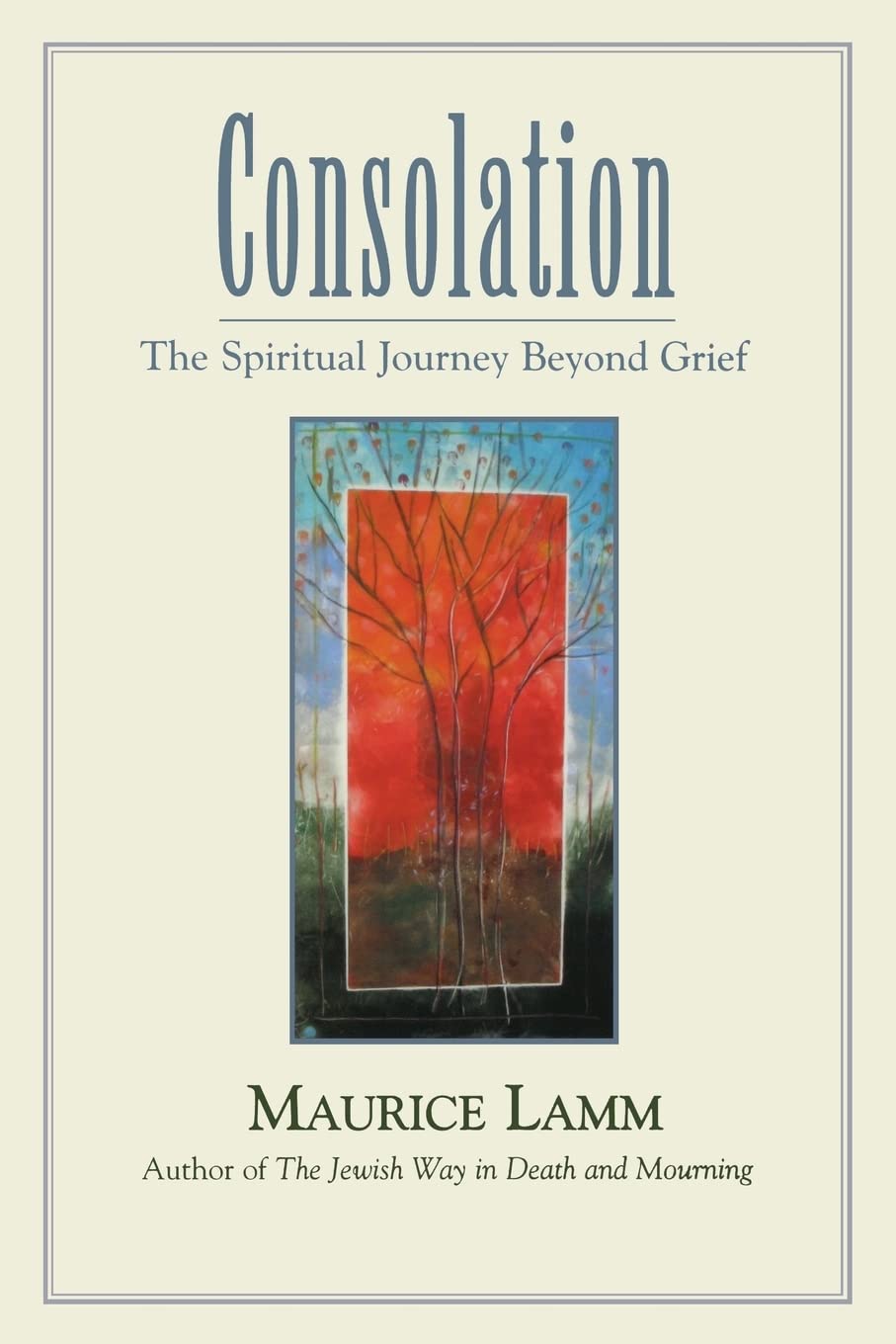 Consolation: The Spiritual Journey Beyond Grief,New