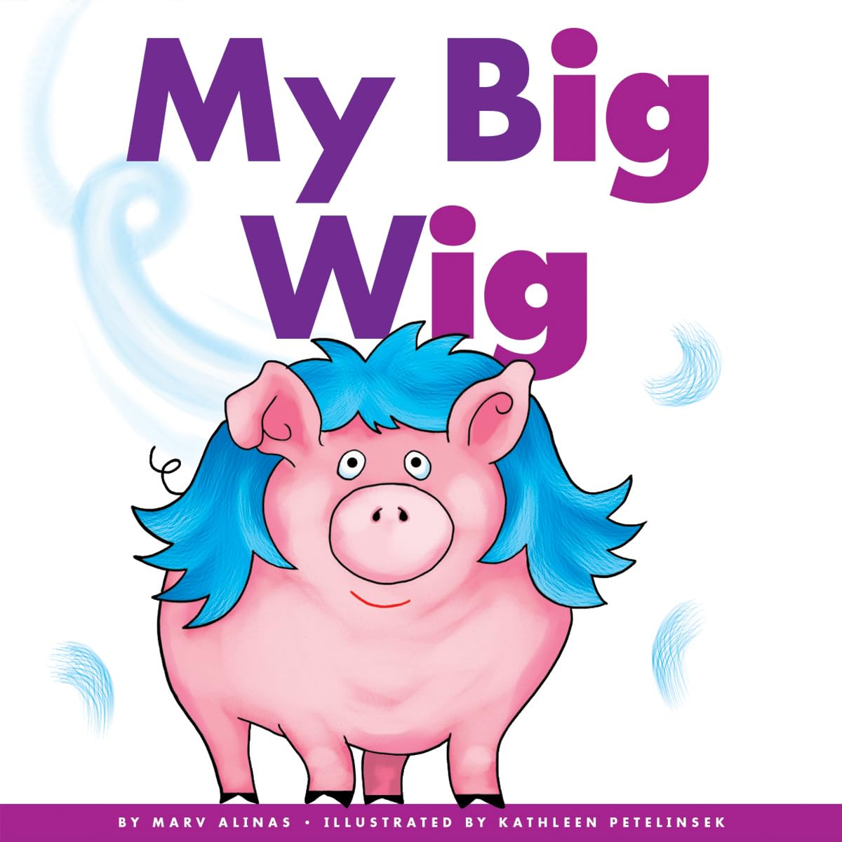 MY BIG WIG