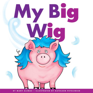 MY BIG WIG