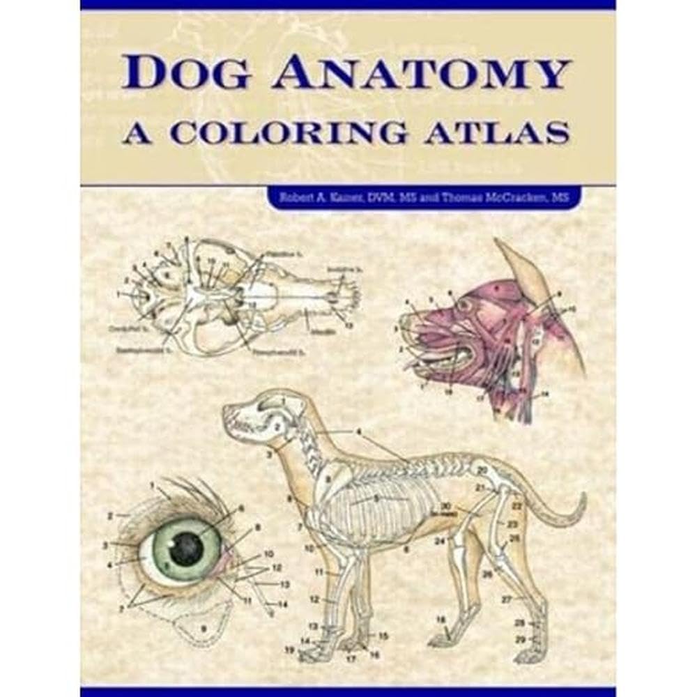 Dog Anatomy: A Coloring Atlas,Used
