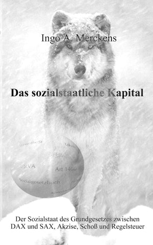Das sozialstaatliche Kapital (German Edition),Used