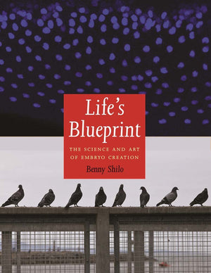 Life's Blueprint: The Science and Art of Embryo Creation,New