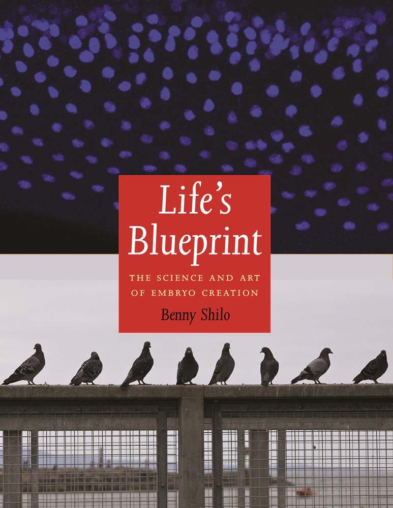 Life's Blueprint: The Science and Art of Embryo Creation,Used