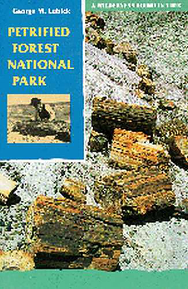 Petrified Forest National Park: A Wilderness Bound In Time,Used