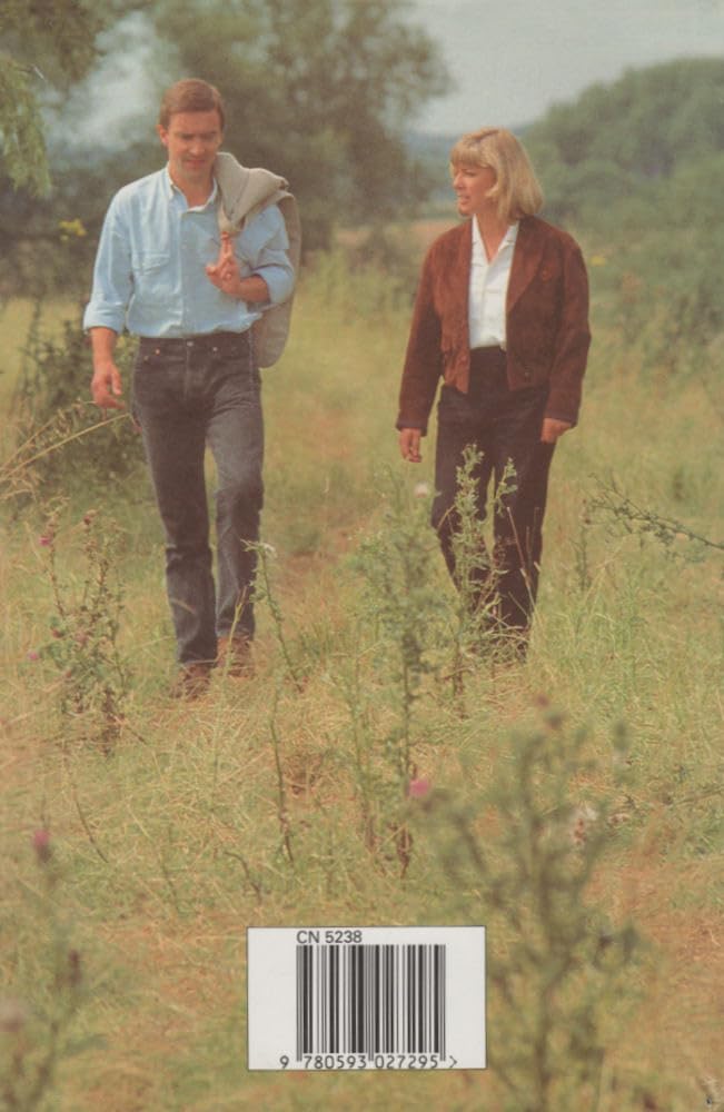 Some Other Rainbow,Used