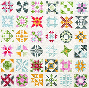 Harriets Journey from Elm Creek Quilts: 100 Sampler Blocks Inspired by the BestSelling Novel Circle of Quilters,Used